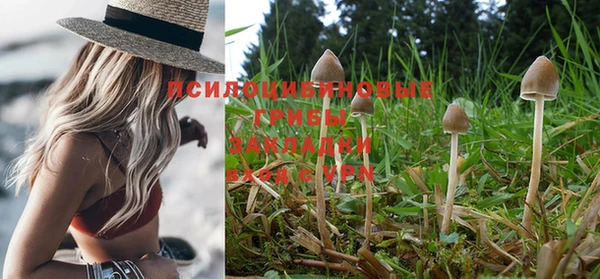 круглые Алексеевка