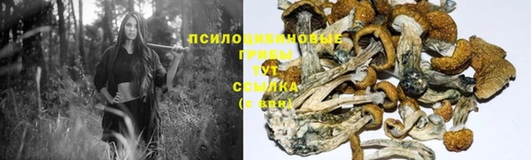 круглые Алексеевка