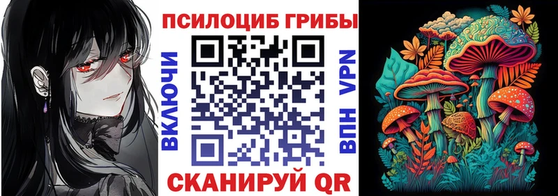 Псилоцибиновые грибы GOLDEN TEACHER  где можно купить наркотик  Ахтырский 